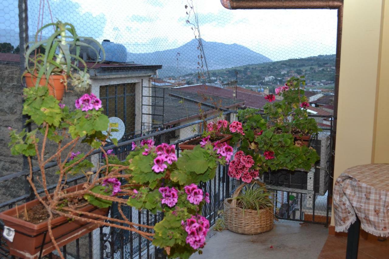 B&B Jolly House Bolognetta Dış mekan fotoğraf